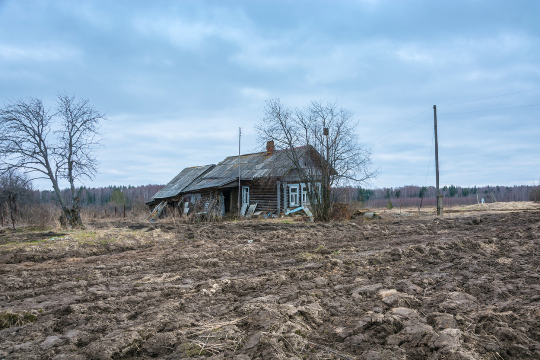 Иллюстрация к новости: Главное о России. Социология