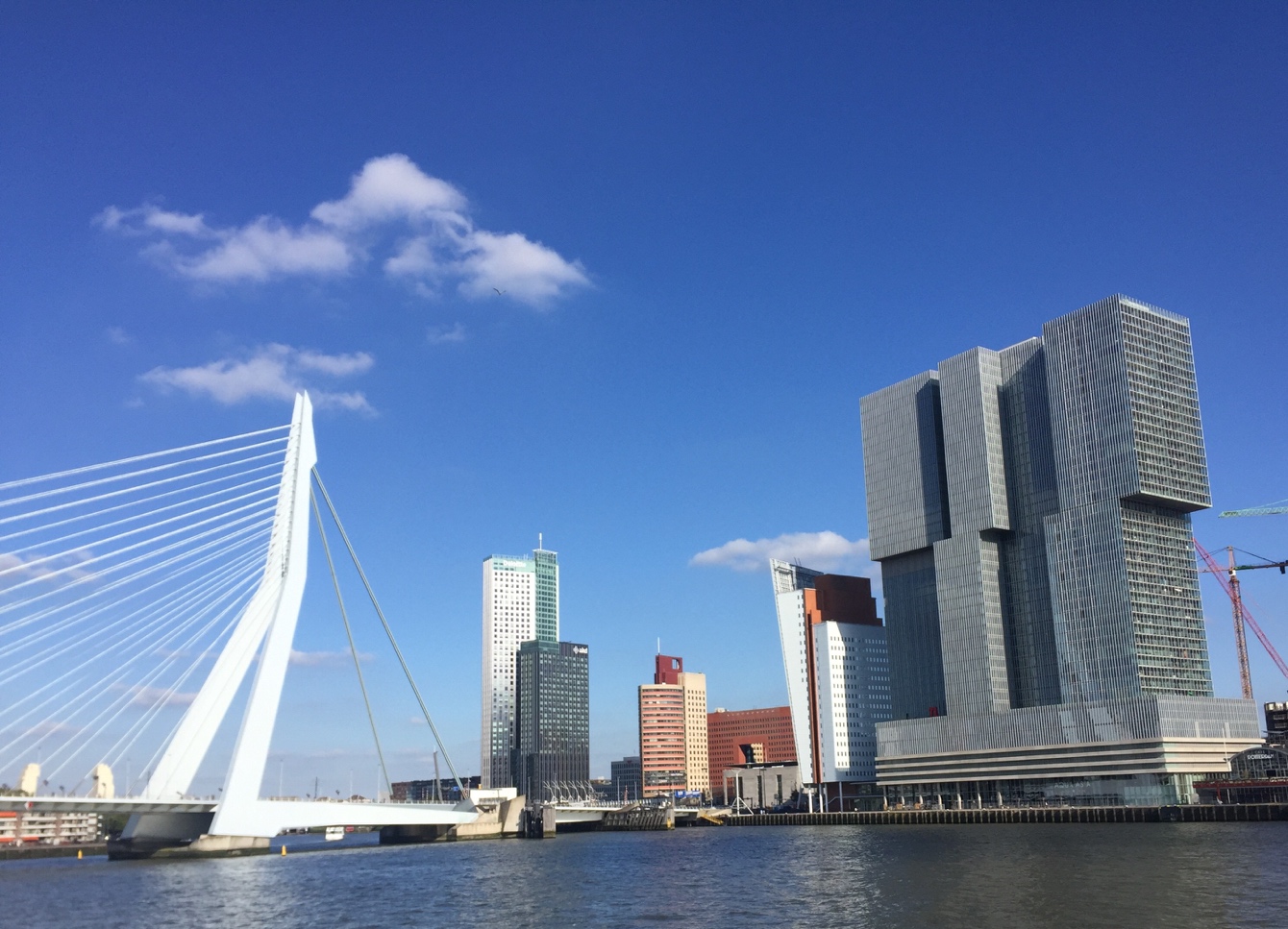 Вид на вантовый мост Erasmusburg. На заднем плане небоскреб Maastoren – самое высокое здание в Нидерландах.