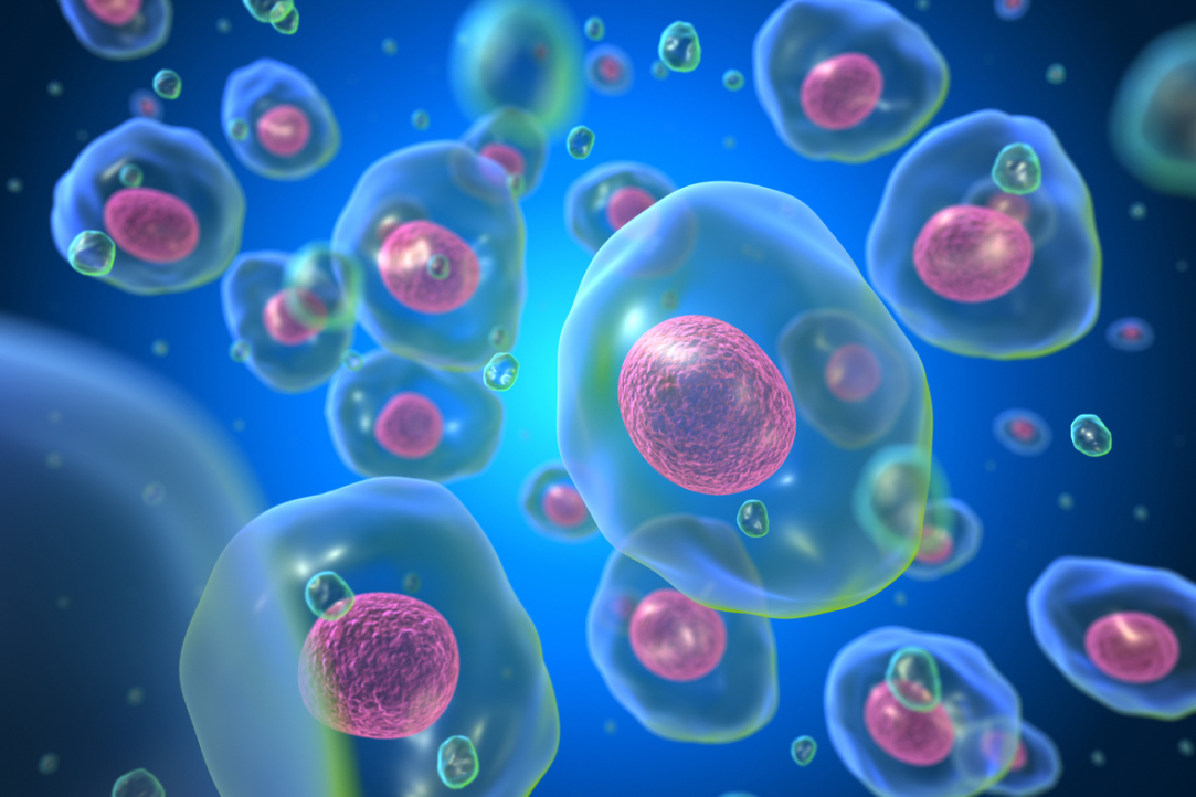 Иллюстрация к новости: Как будет устроена новая бакалаврская программа «Клеточная и молекулярная биотехнология»