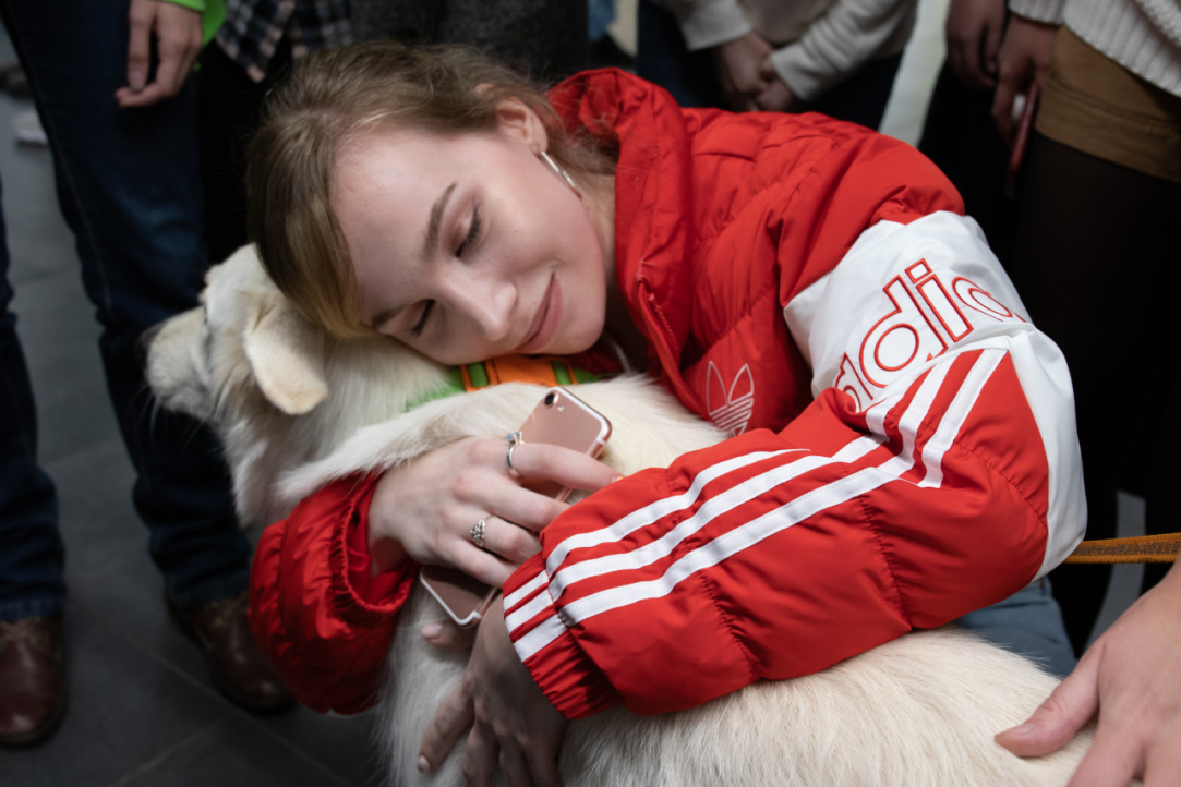 Furry Therapists, Yoga and Self-care: HSE Joins in Celebrating World Mental Health Day