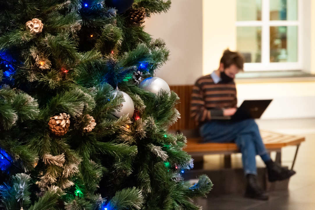 Gifts under the Christmas Tree: How Student Startups Can Surprise You