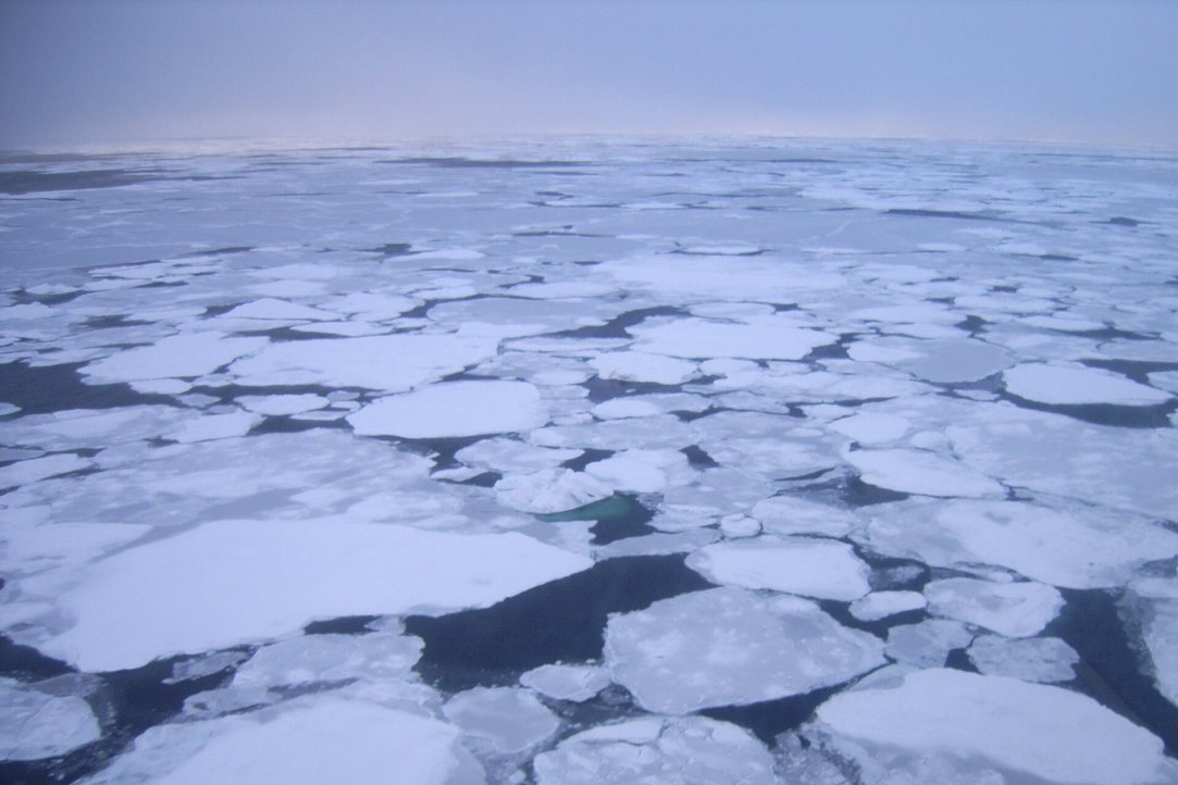Иллюстрация к новости: Соль лед точит: ученые назвали причины уязвимости подводной мерзлоты