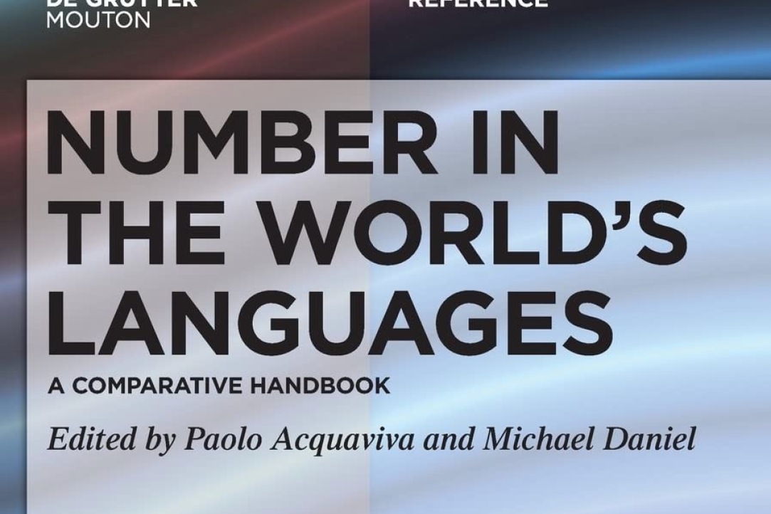 Иллюстрация к новости: Вышла книга Number in the world's languages: A Comparative Handbook