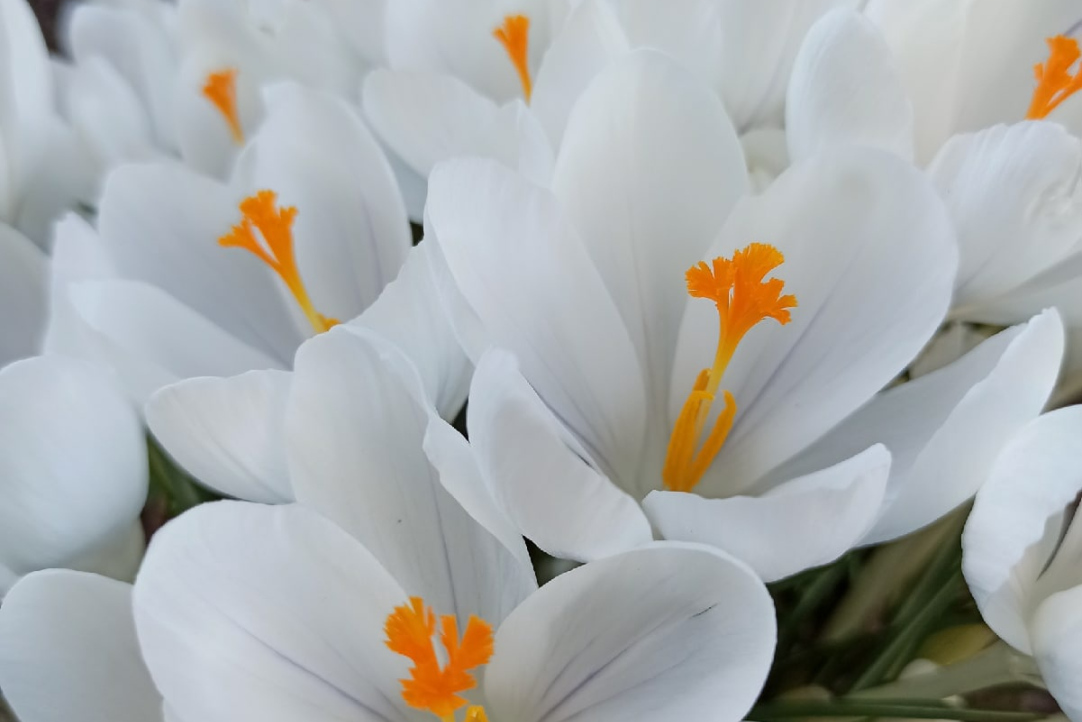 Иллюстрация к новости: «Берите всё непромокаемое!»