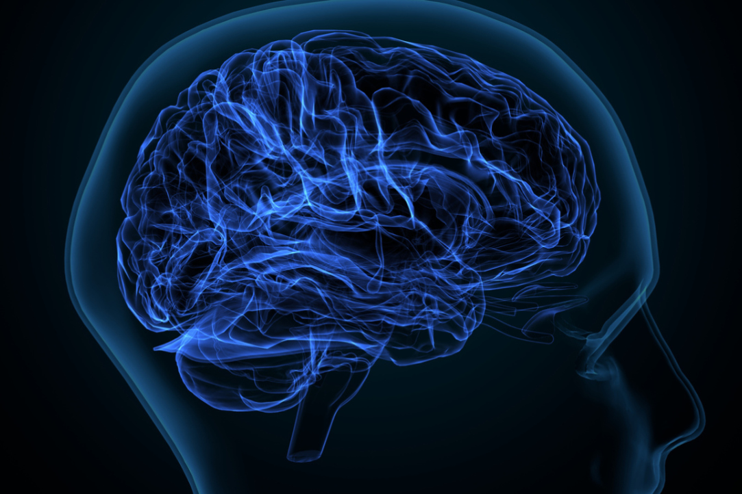 Иллюстрация к новости: Мозолистое тело оказалось «выключателем» правого полушария мозга во время речи