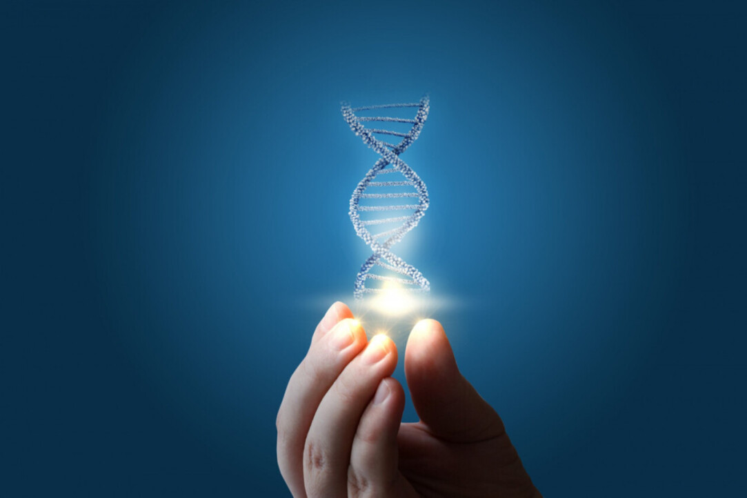 Иллюстрация к новости: Лаборатория ИИ «Сбербанка» и Центр ИИ ВШЭ представили ИИ-инструмент для поиска фрагментов ДНК