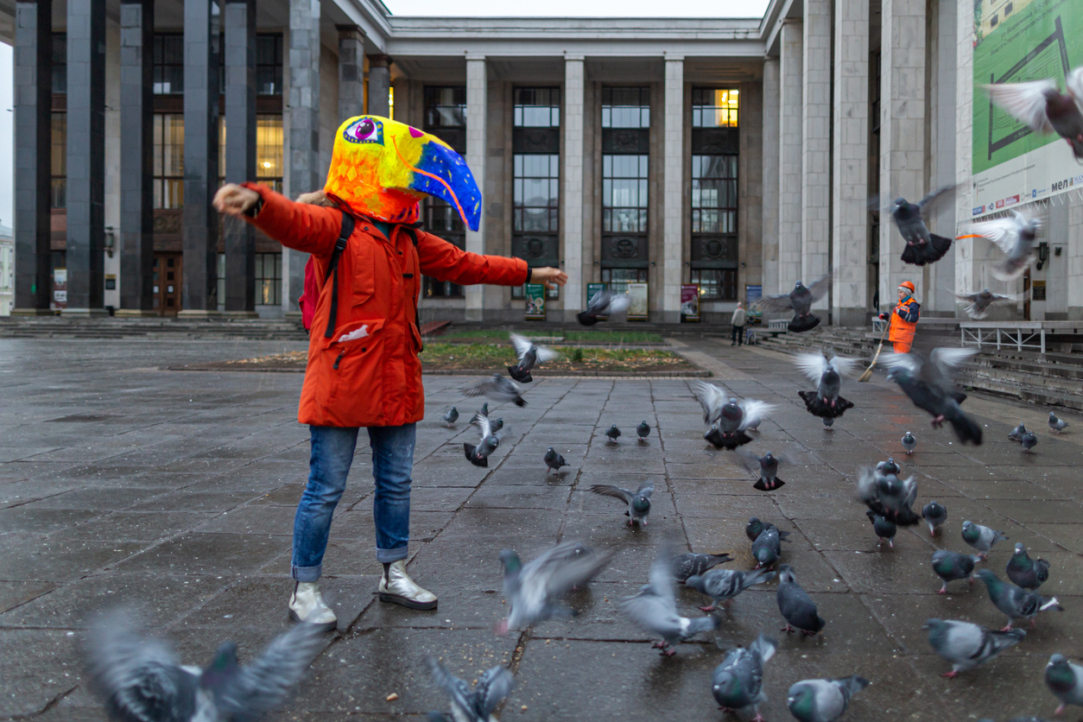 Фактчекинг: действительно ли на юге Москвы эпидемия птичьего гриппа?