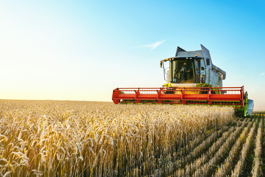 Фактчекинг: грозит ли России дефицит семян?