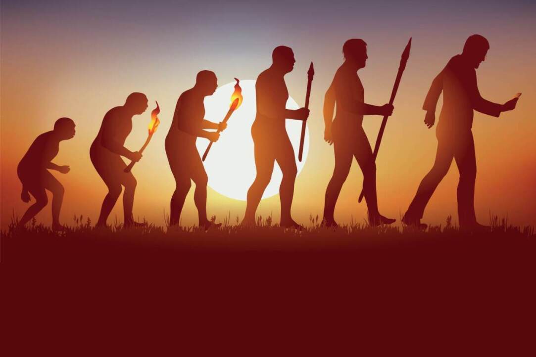 Фактчекинг: кто первым высказал идею об обезьяноподобных предках человека?