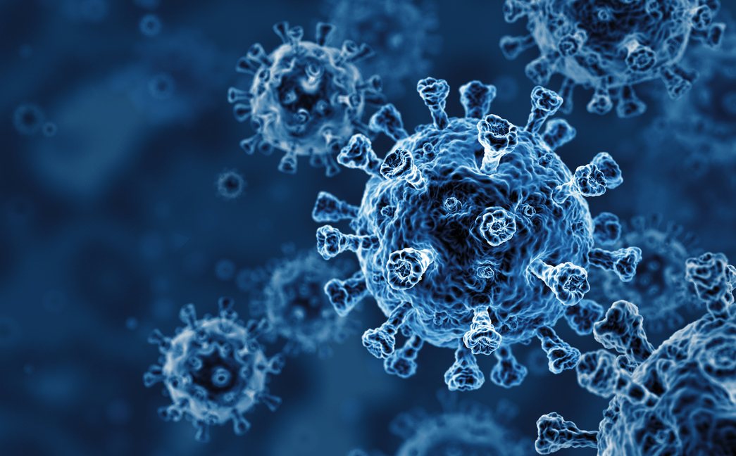 Immortal Cells and Mathematics Reveal Mechanism behind Coronavirus Infection