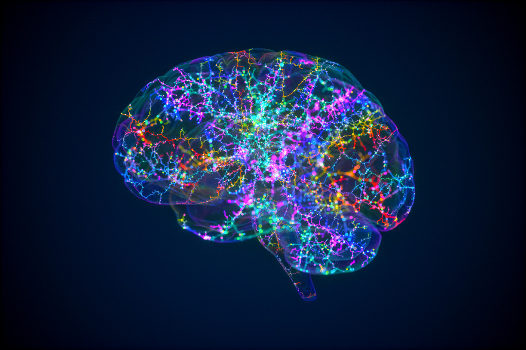 Neuroscientists Inflict 'Damage' on Computational Model of Human Brain