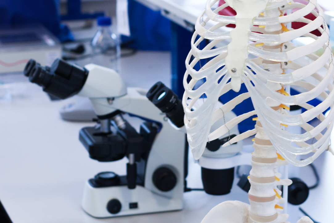 Иллюстрация к новости: Дополнительный период переводов на коммерческие места бакалавриата