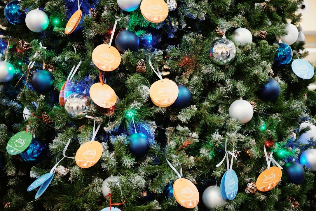 Иллюстрация к новости: «Елка желаний» в Вышке: маяк добра и света