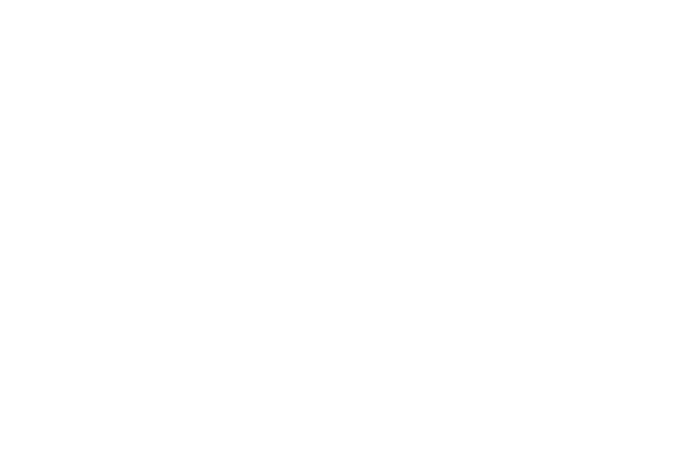 Высшая лига