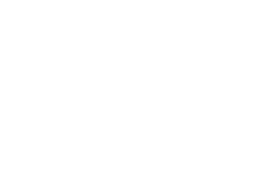 Высший пилотаж